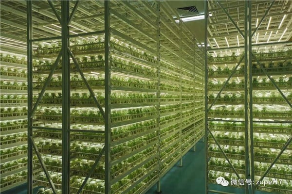在线观看国产麻豆仪器设备